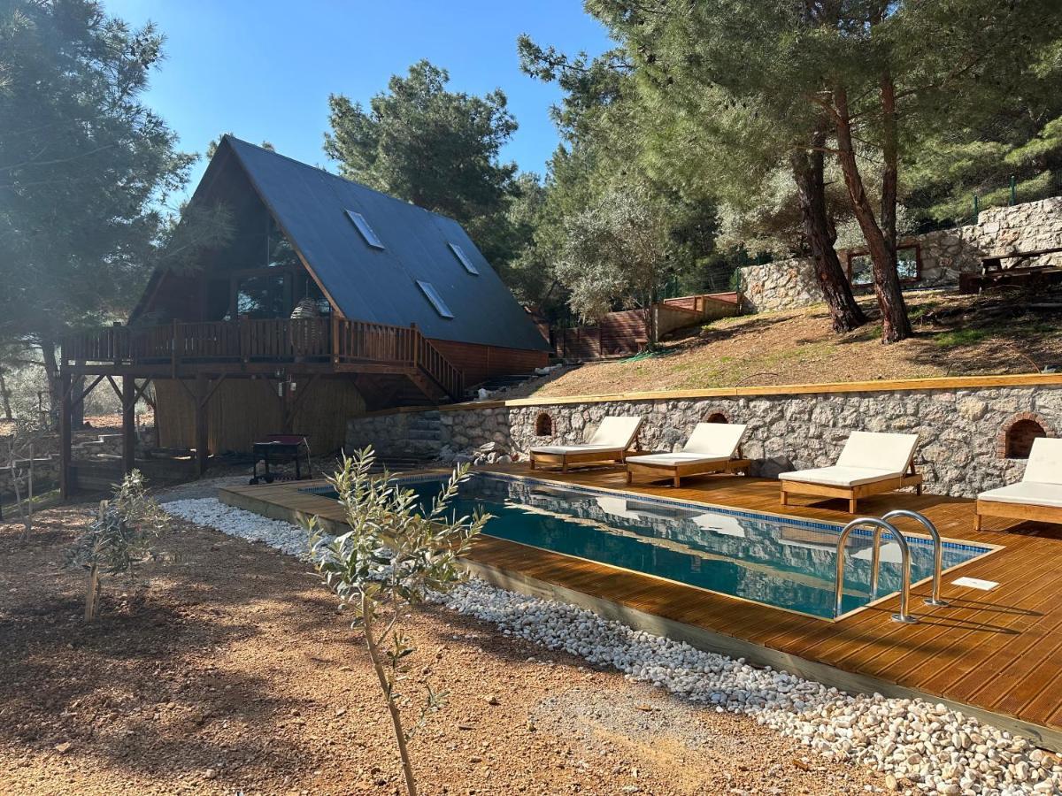 Panurlawoodenhouse Oezel Havuz& Sauna Mavi エクステリア 写真