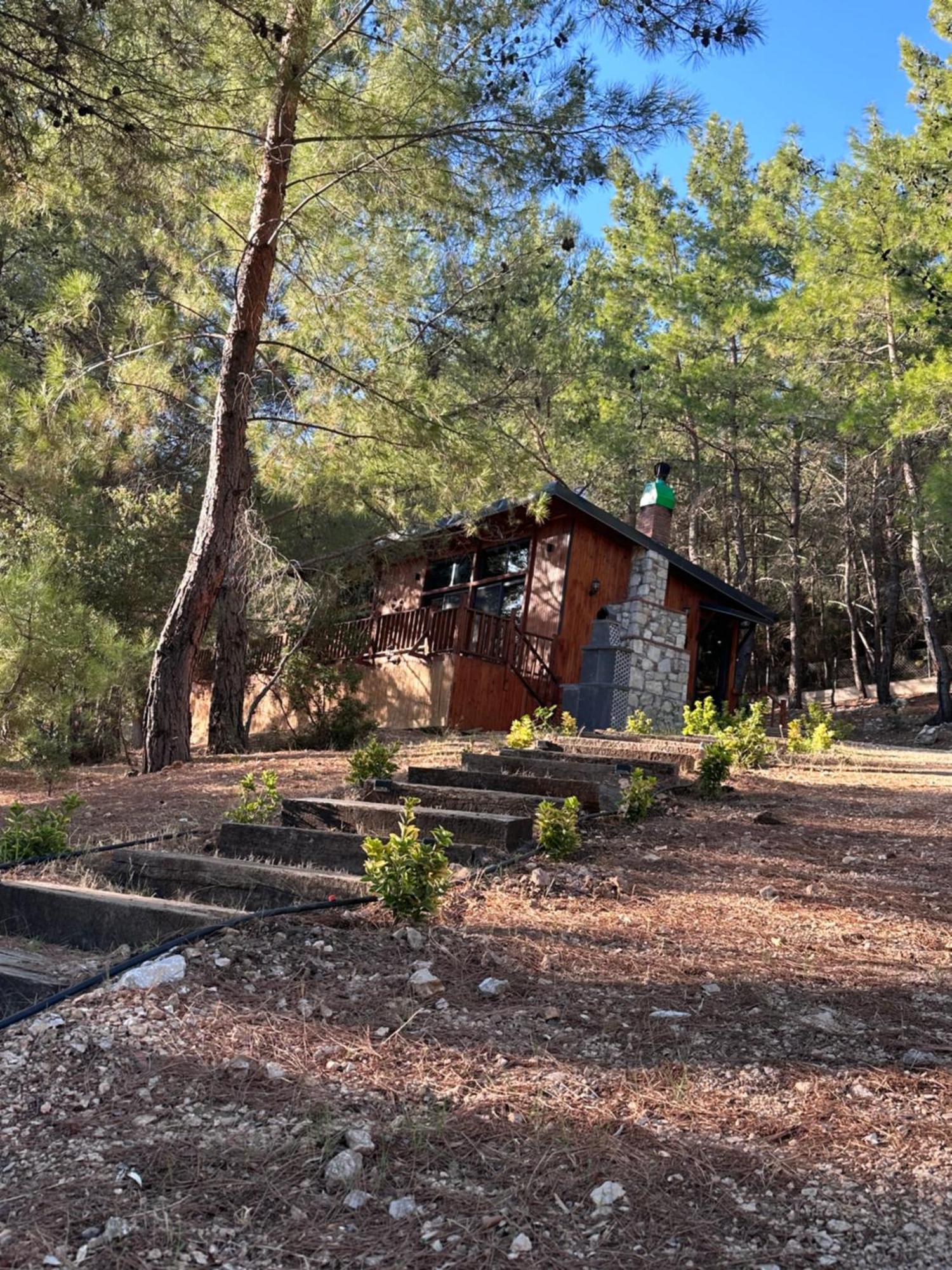 Panurlawoodenhouse Oezel Havuz& Sauna Mavi エクステリア 写真