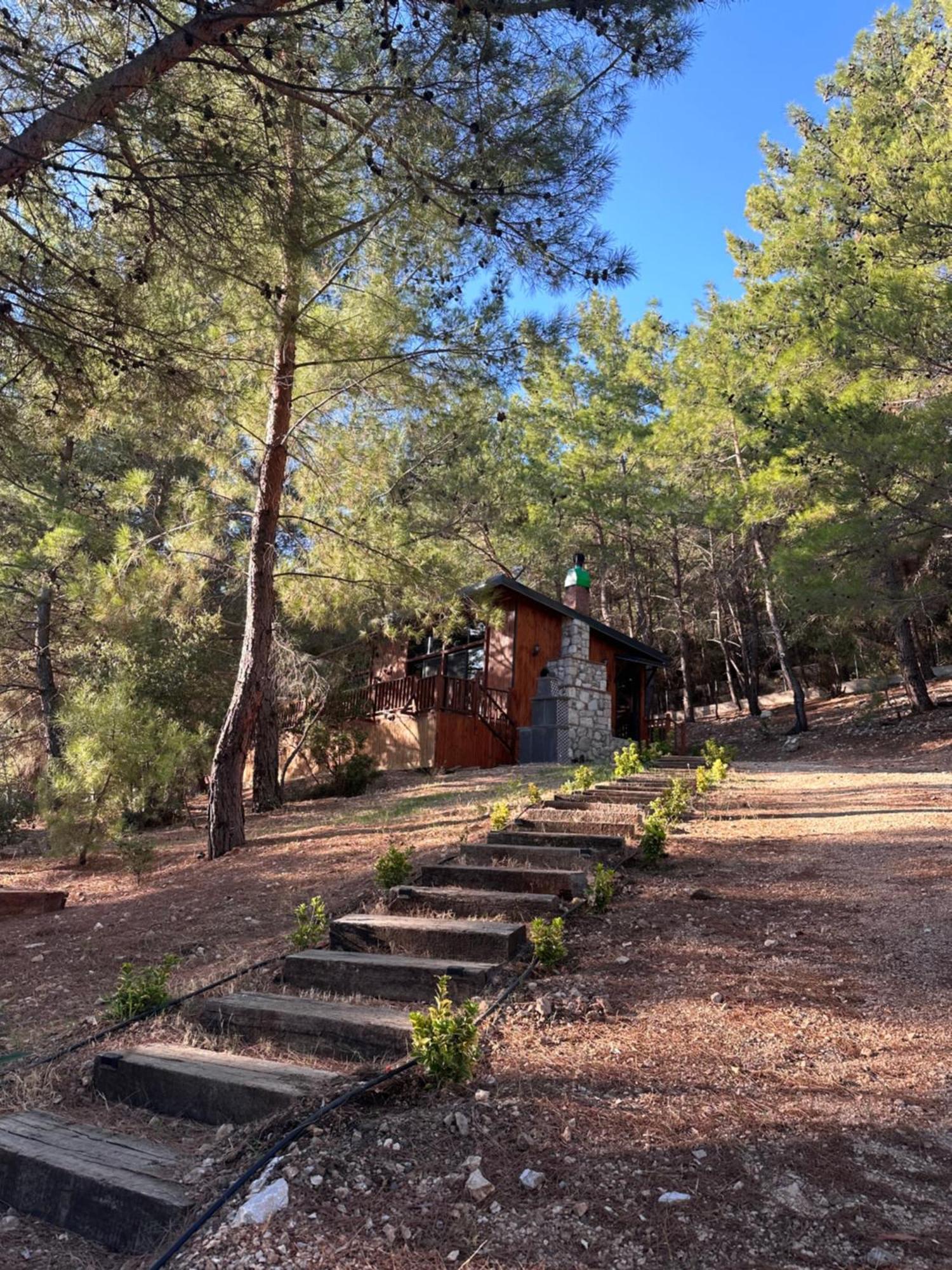 Panurlawoodenhouse Oezel Havuz& Sauna Mavi エクステリア 写真
